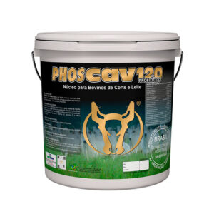 PHOSCAVE120 + probioticos