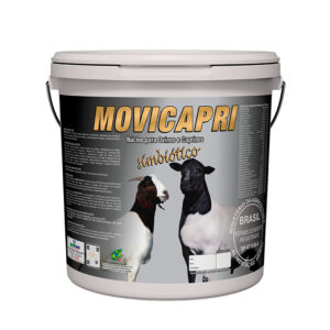Nucleo Mineral Movcapri