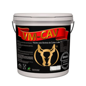 VMCAVE